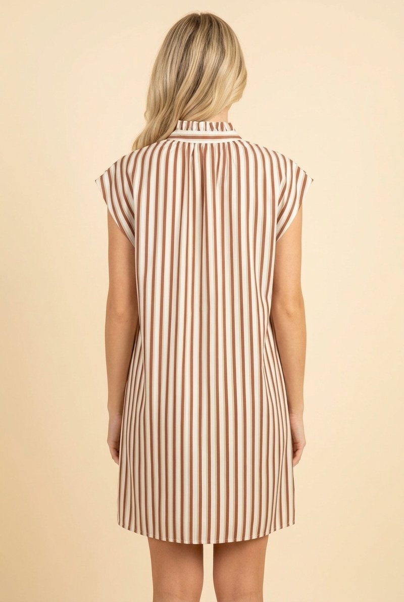 Heimish Striped Ruffle Mock Neck Button Front Mini Dress - Rust