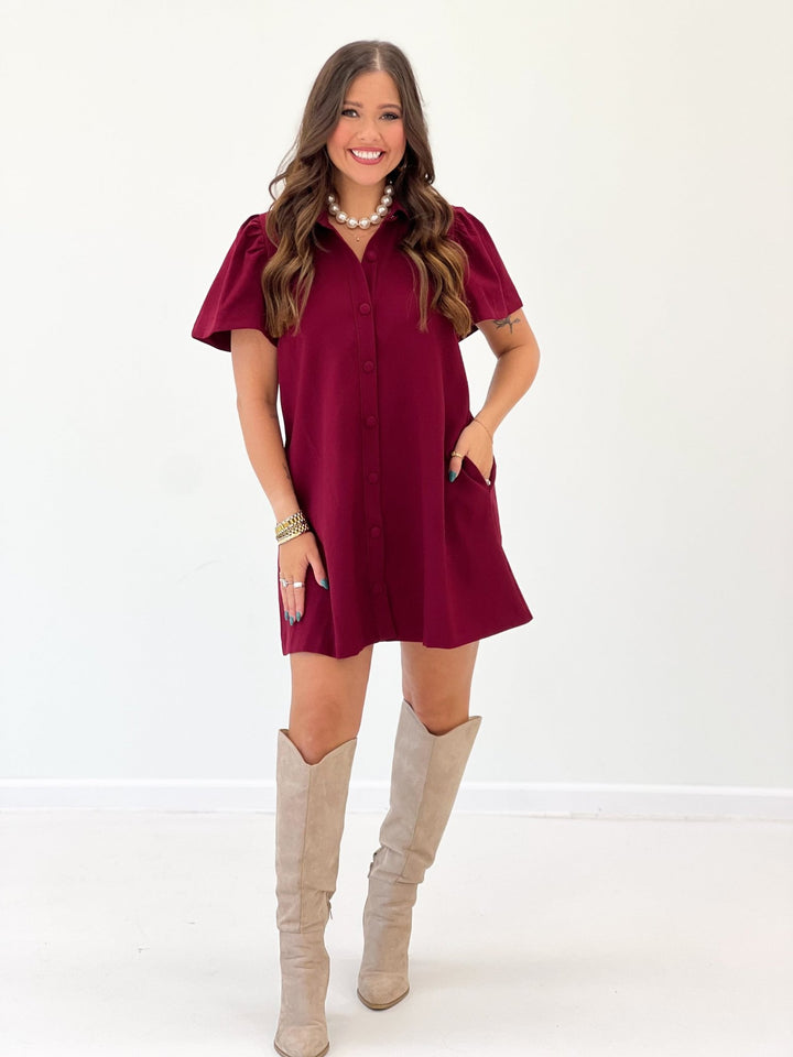 Collared button down dress with a pointed neckline