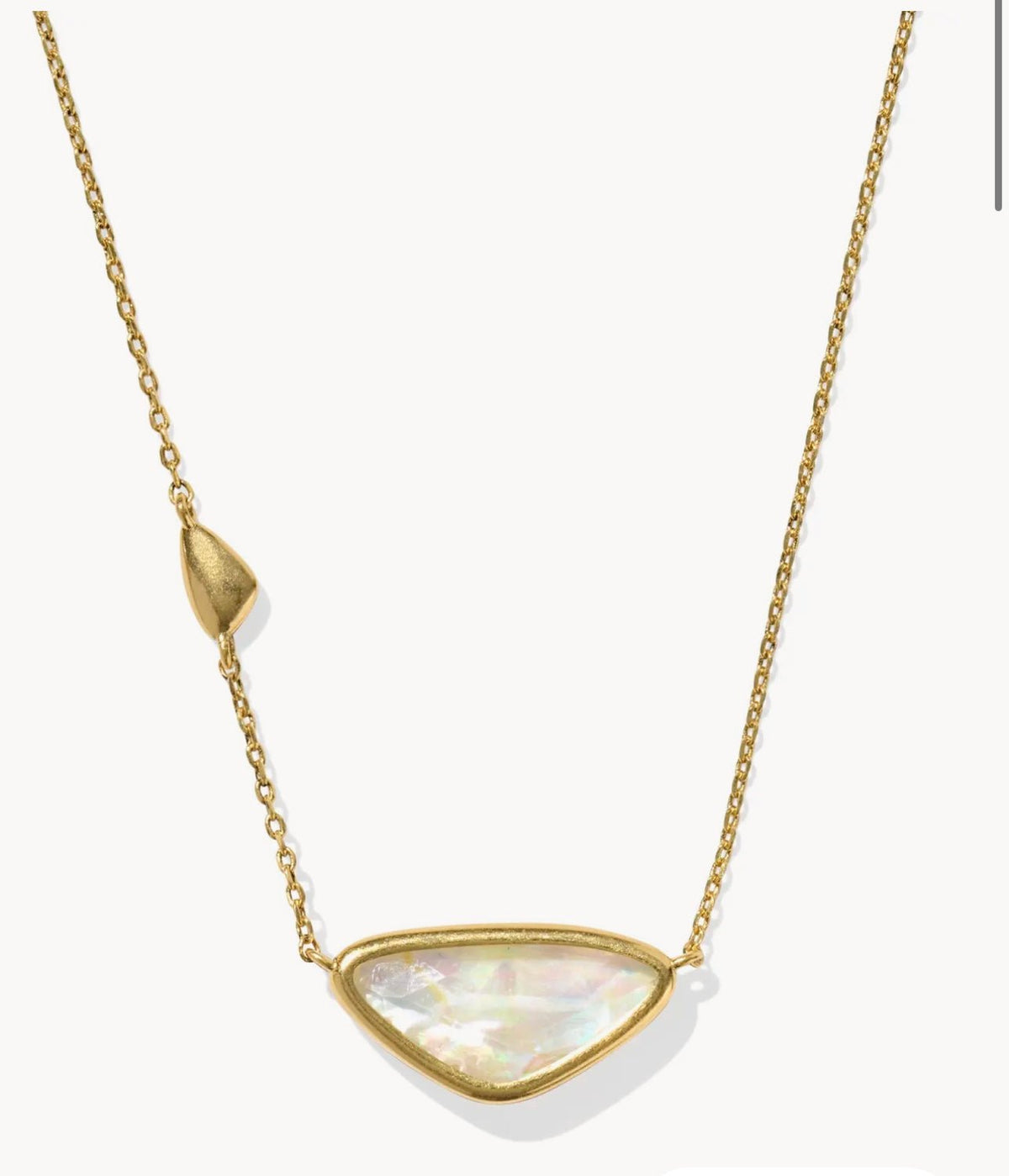 Abalone shell pendant on a gold chain