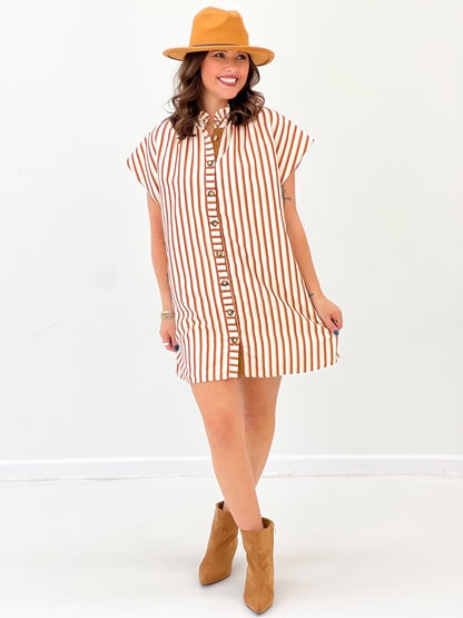Heimish Striped Ruffle Mock Neck Button Front Mini Dress