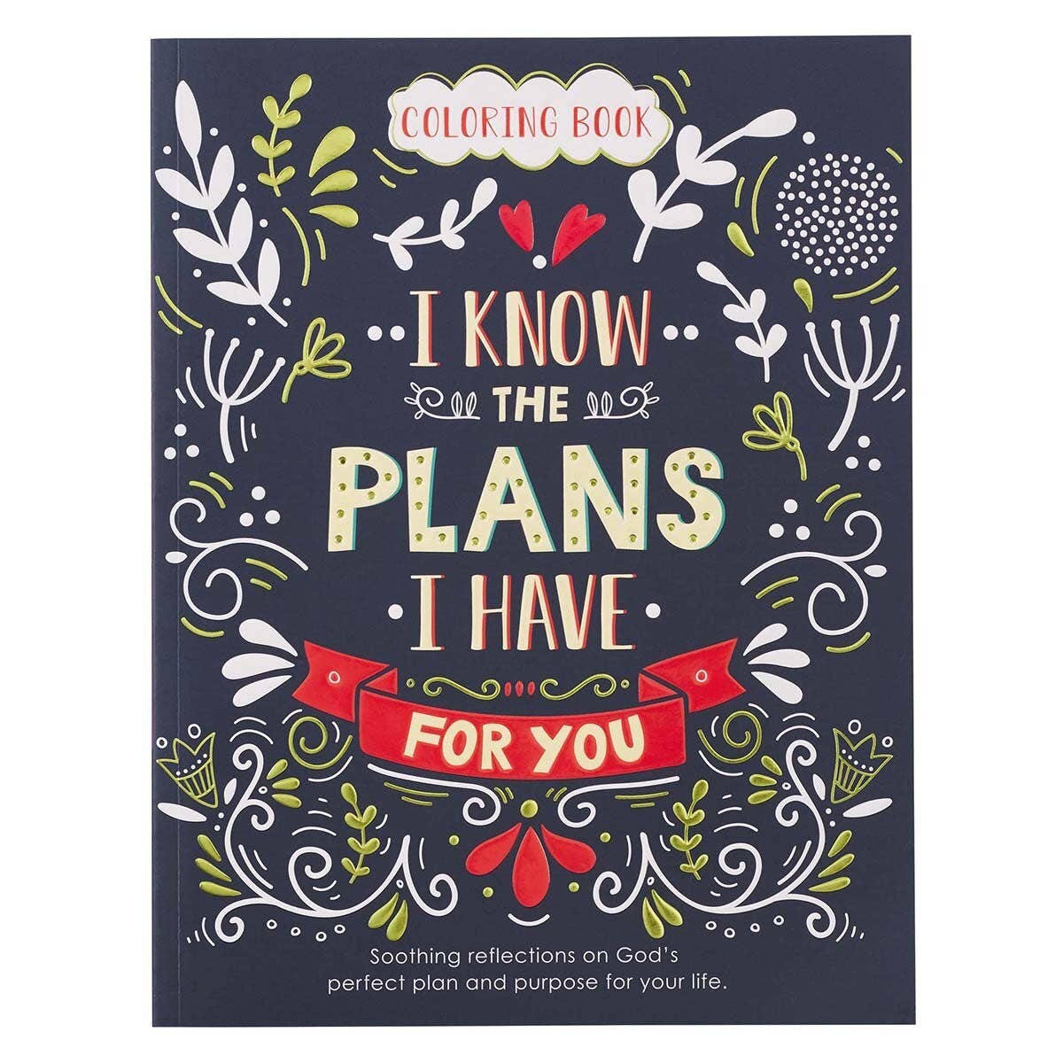 I Know the Plans scripture coloring book