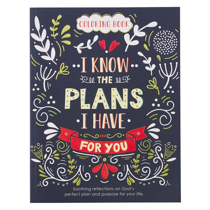 I Know the Plans scripture coloring book