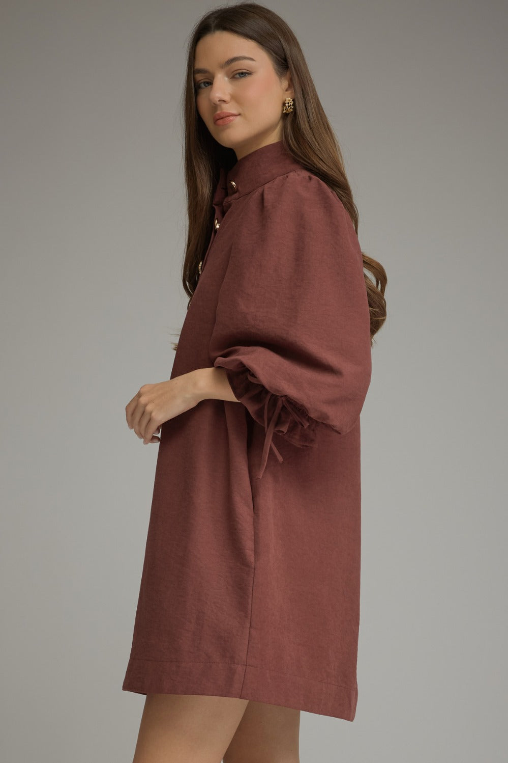 Entro Balloon Sleeve Stand Neck Button Front Mini Dress in Merlot