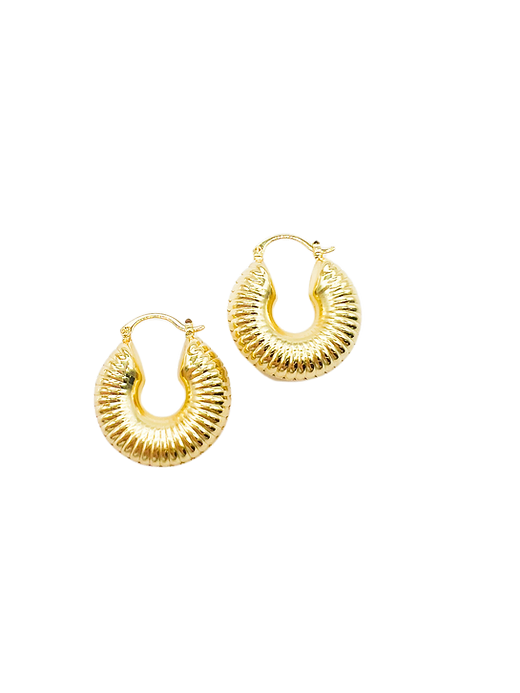 Spiral Gold Hoops