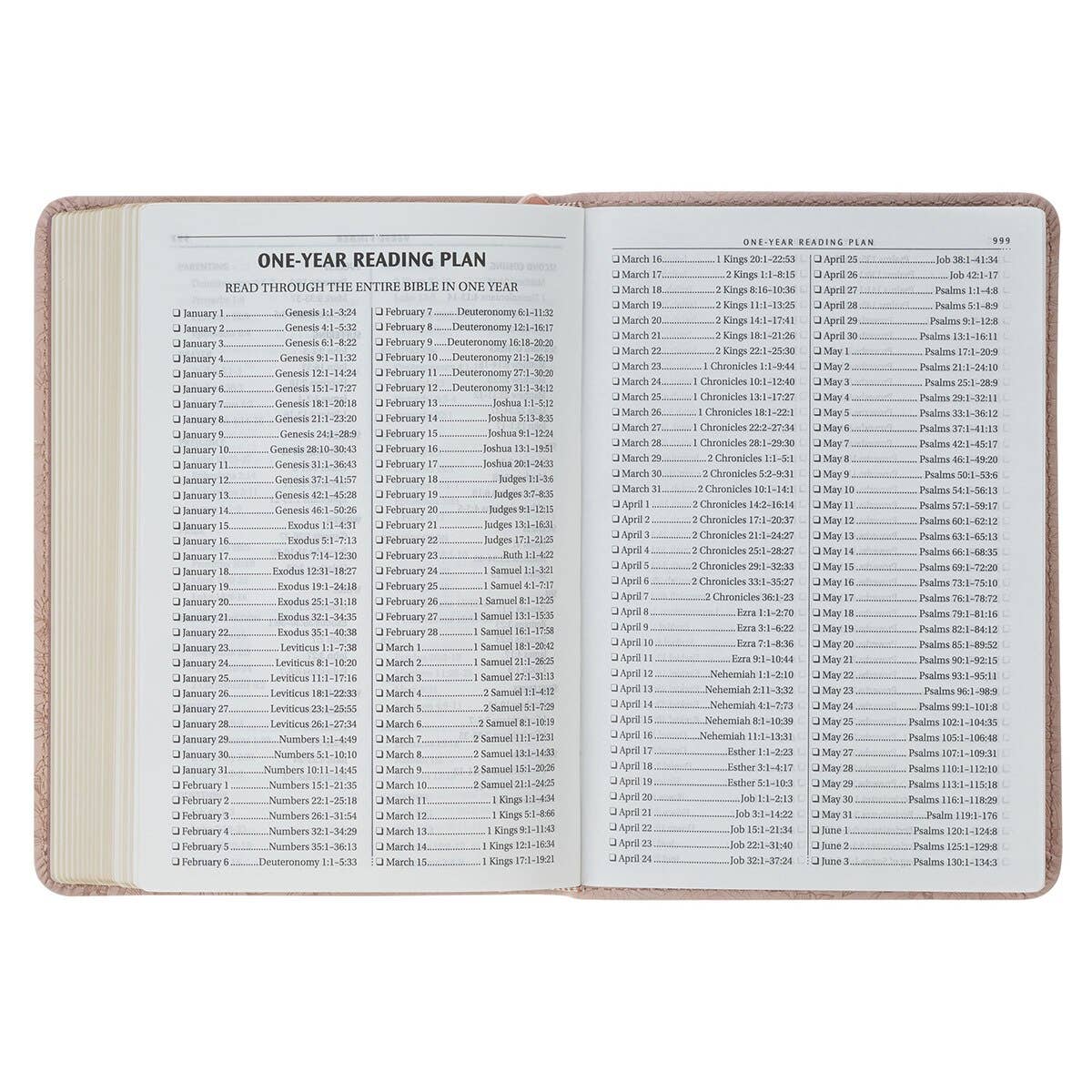 Pink compact KJV Bible sized for a handbag