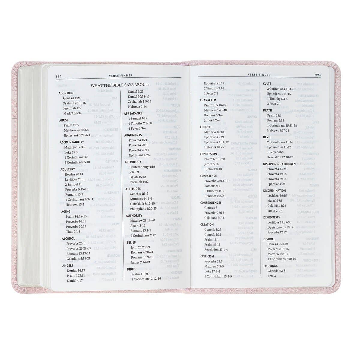 Compact pink KJV Bible that fits in a bag or pocket