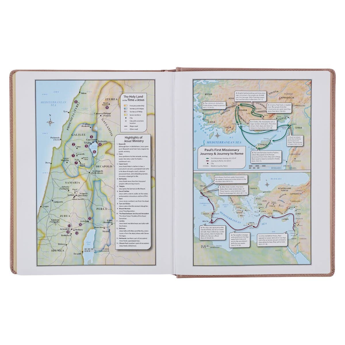Large-print note-taking Bible with wide margins in mauve faux leather