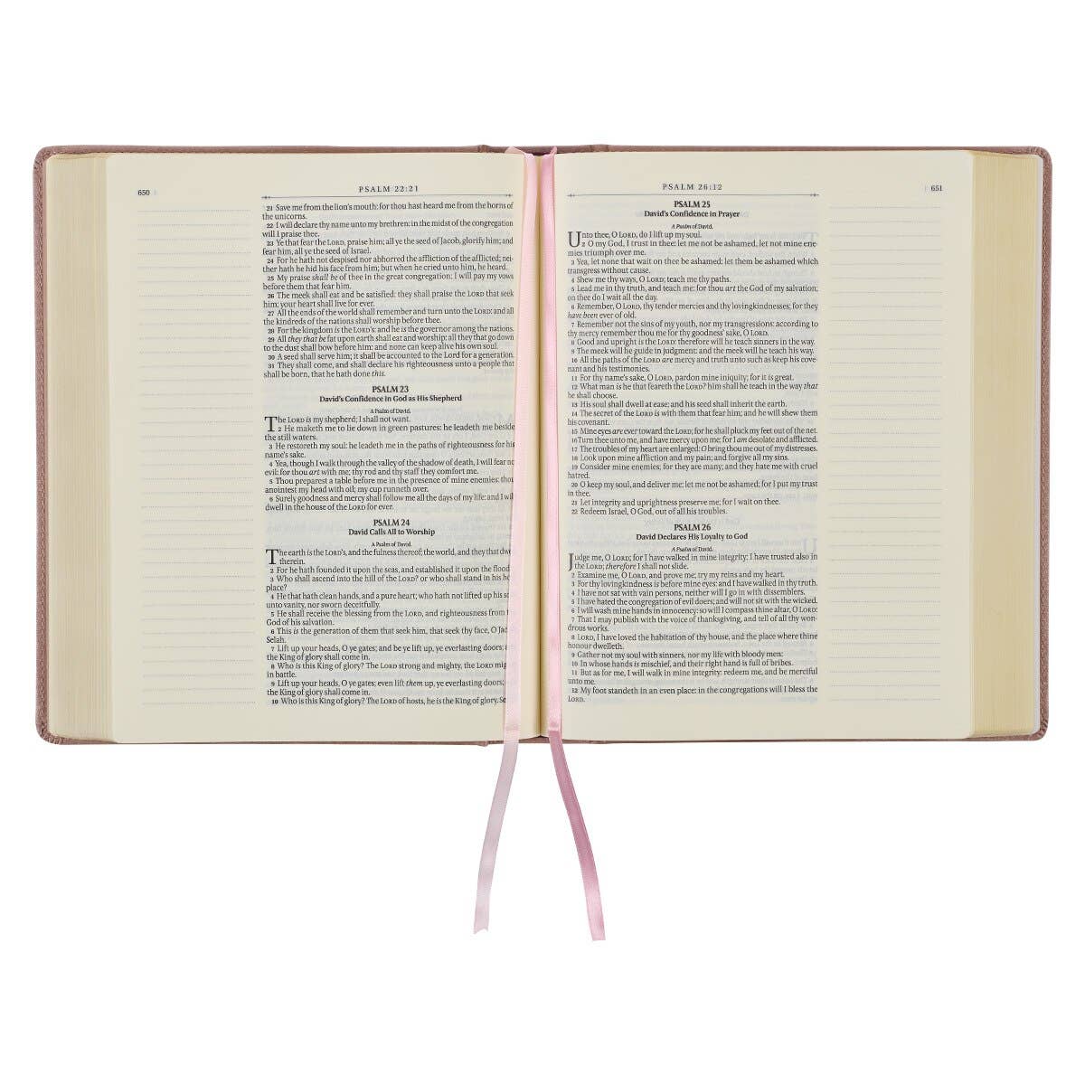 Mauve KJV Bible with note-taking margins and a faux leather cover