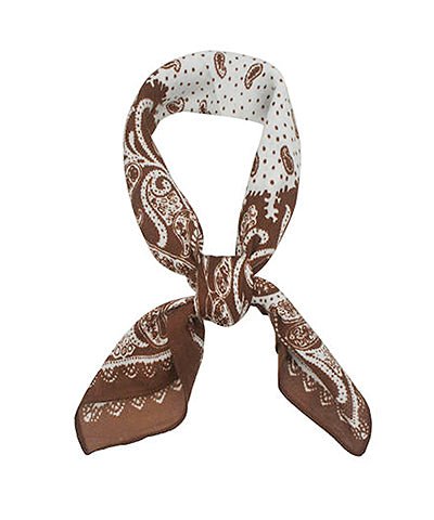 Paisley print scarf, a lightweight everyday wrap