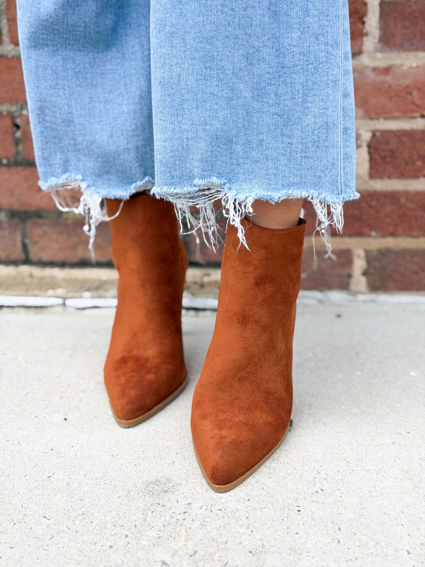 Pierre Dumas Suede Kitten Heel Boots - Lavish Boutique10-SHOES