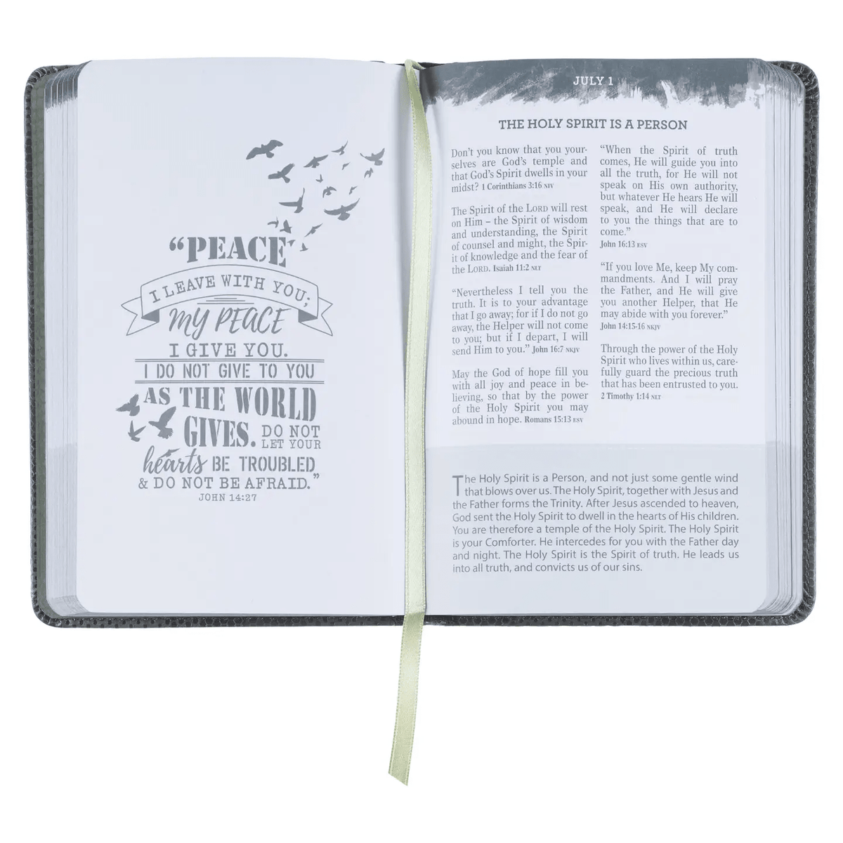 Devotional book for guys sized to fit a pocket
