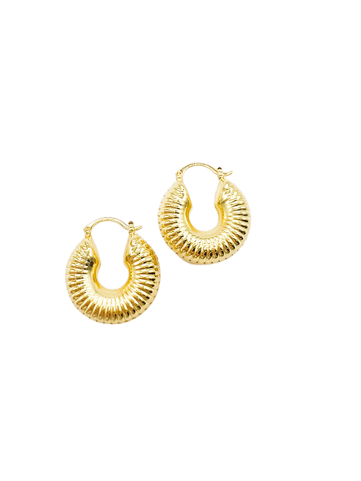 Spiral Gold Hoops - Lavish Boutique Accessories